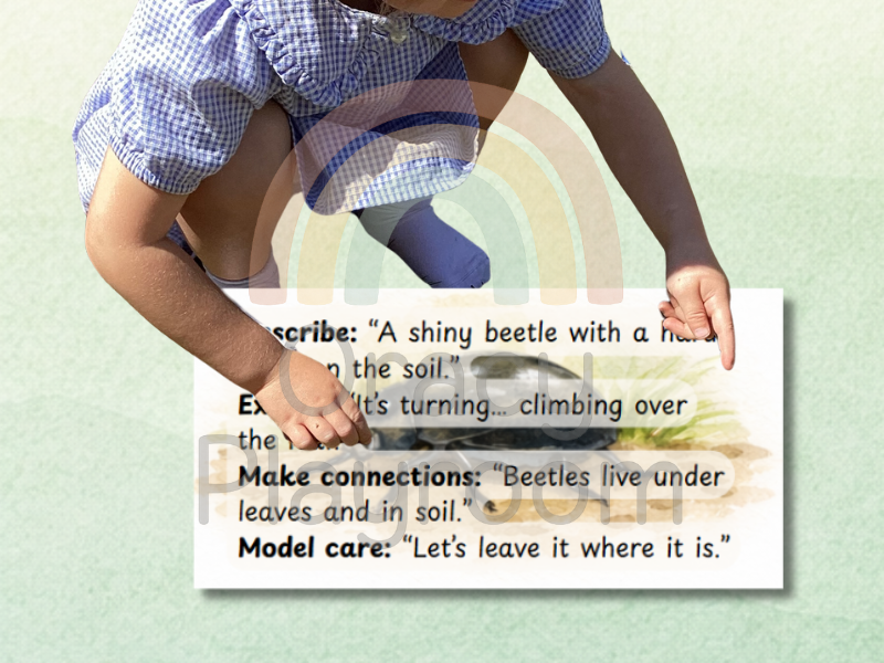 What to say while... Children are searching for insects