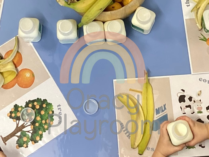 Food Origin Posters