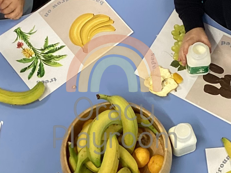 Food Origin Posters