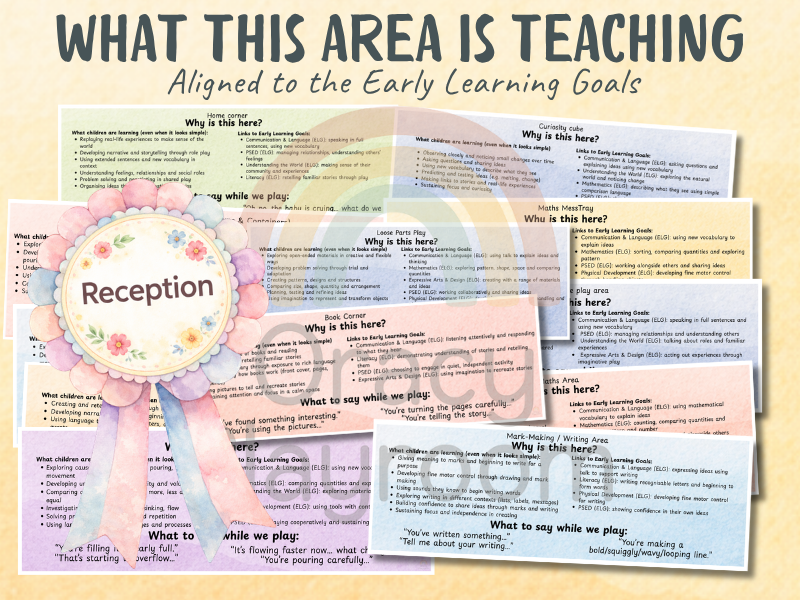 What This Area is Really Teaching: RECEPTION display cards