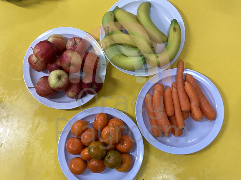 Snack Sorting: Adult Commentary Sheet