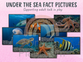 Under the Sea: Picture & Fact Cards
