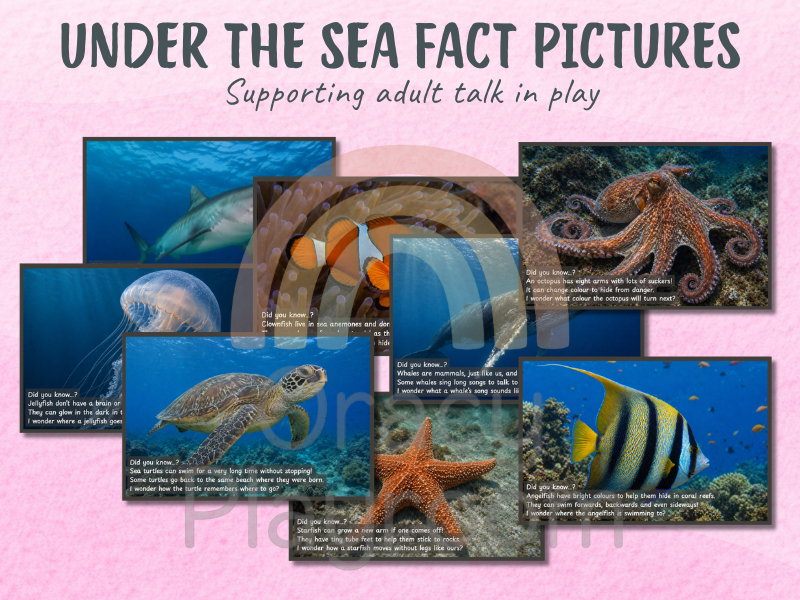 Under the Sea: Picture & Fact Cards