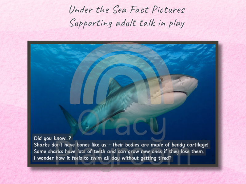 Under the Sea: Picture & Fact Cards