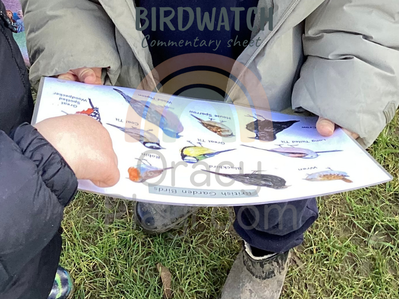 Big Garden Birdwatch Commentary Sheet