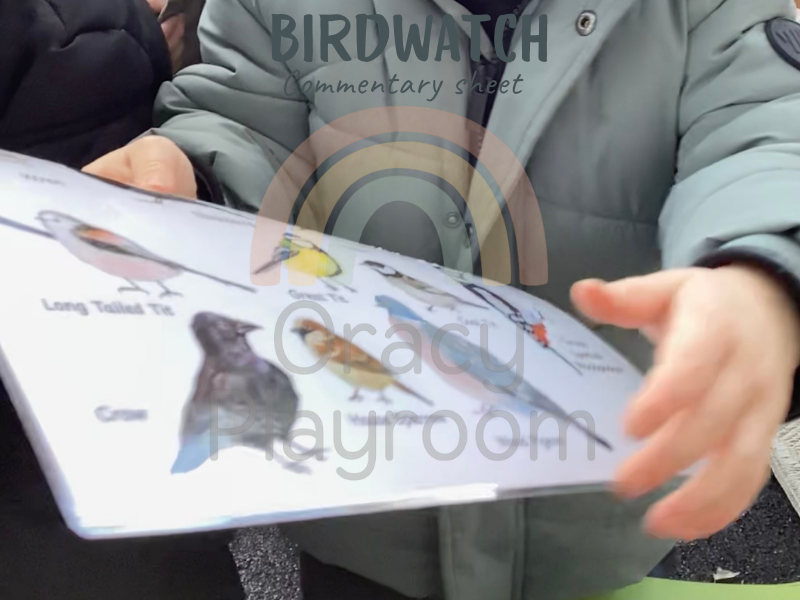 Big Garden Birdwatch Commentary Sheet