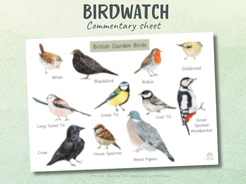 Big Garden Birdwatch Commentary Sheet