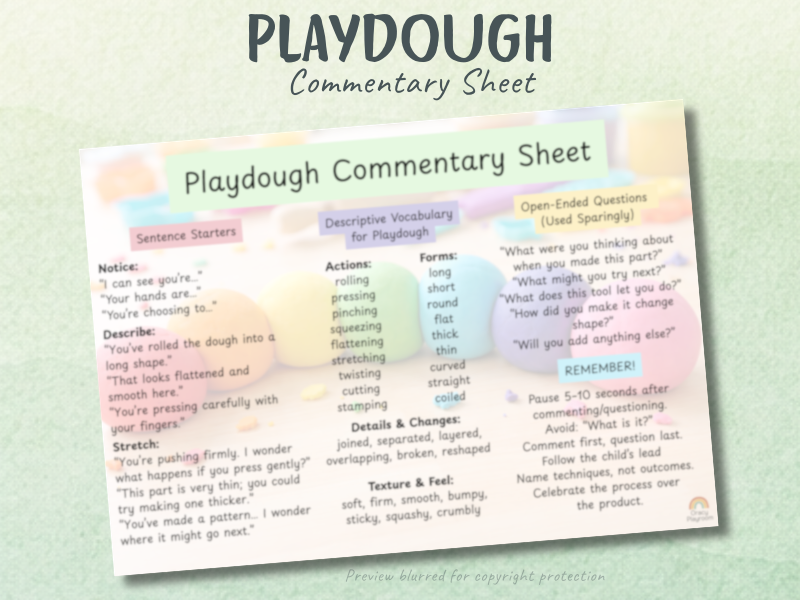 Playdough Adult Commentary Sheet